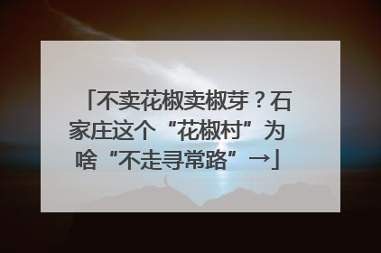 不卖花椒卖椒芽？石家庄这个“花椒村”为啥“不走寻常路”→