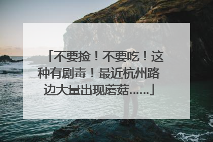 不要捡！不要吃！这种有剧毒！最近杭州路边大量出现蘑菇……