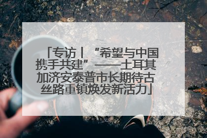专访丨“希望与中国携手共建”——土耳其加济安泰普市长期待古丝路重镇焕发新活力