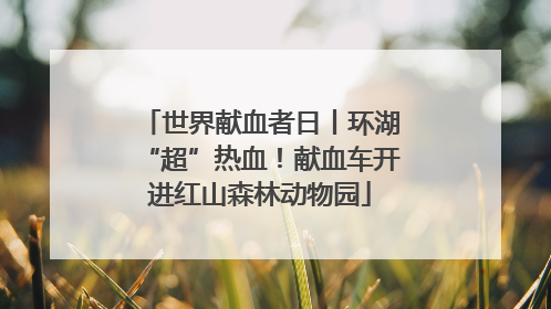 世界献血者日丨环湖“超”热血！献血车开进红山森林动物园