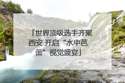 世界顶级选手齐聚西安 开启“水中芭蕾”视觉盛宴