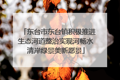 东台市东台镇积极推进生态河道整治实现河畅水清岸绿景美新愿景