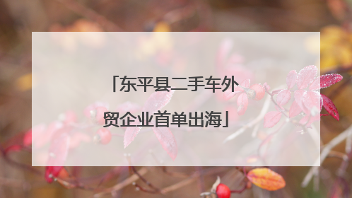 东平县二手车外贸企业首单出海