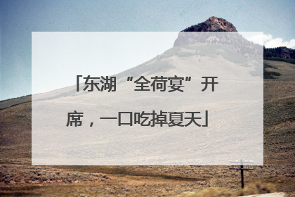 东湖“全荷宴”开席，一口吃掉夏天