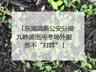 东湖高新公安分局九峰派出所考场外服务不“打烊”