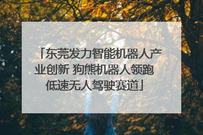 东莞发力智能机器人产业创新 狗熊机器人领跑低速无人驾驶赛道