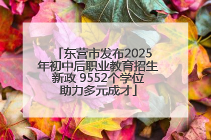 东营市发布2025年初中后职业教育招生新政 9552个学位助力多元成才