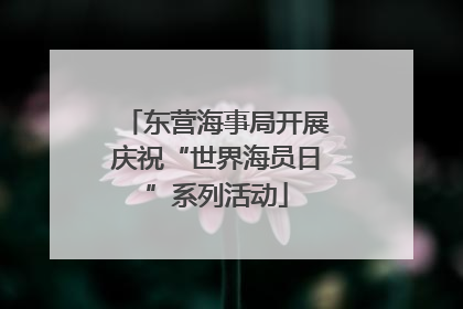 东营海事局开展庆祝“世界海员日”系列活动