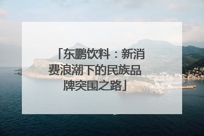 东鹏饮料：新消费浪潮下的民族品牌突围之路