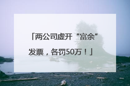 两公司虚开“富余”发票，各罚50万！