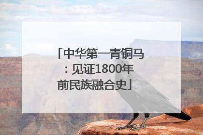 中华第一青铜马：见证1800年前民族融合史