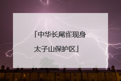 中华长尾雀现身太子山保护区