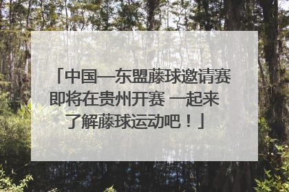 中国—东盟藤球邀请赛即将在贵州开赛 一起来了解藤球运动吧！