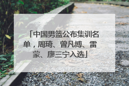 中国男篮公布集训名单，周琦、曾凡博、雷蒙、廖三宁入选