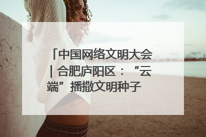 中国网络文明大会｜合肥庐阳区：“云端”播撒文明种子 共建清朗网络空间