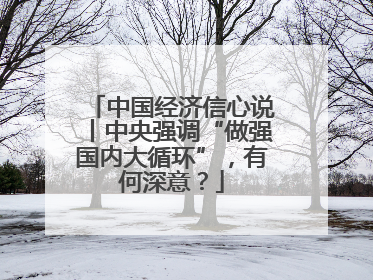 中国经济信心说丨中央强调“做强国内大循环”，有何深意？