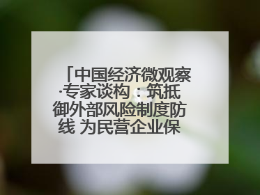 中国经济微观察·专家谈构：筑抵御外部风险制度防线 为民营企业保驾护航