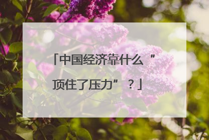 中国经济靠什么“顶住了压力”?