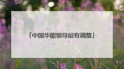 中国华能领导层有调整