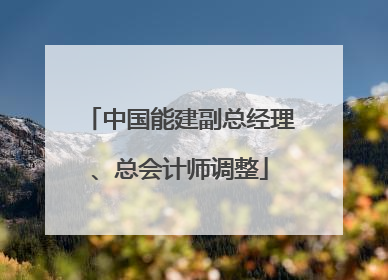 中国能建副总经理、总会计师调整