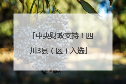 中央财政支持！四川3县（区）入选