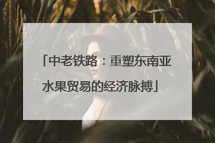 中老铁路：重塑东南亚水果贸易的经济脉搏