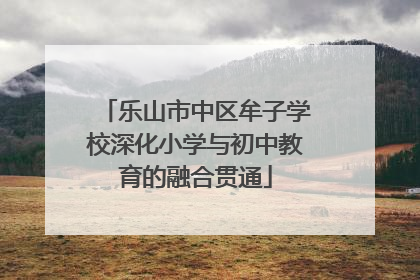 乐山市中区牟子学校深化小学与初中教育的融合贯通