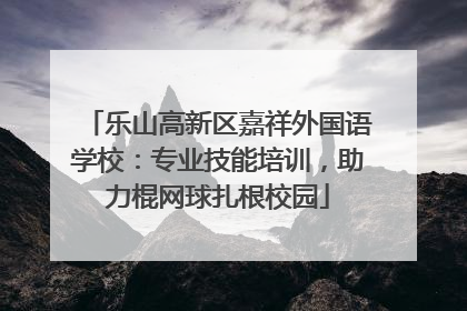乐山高新区嘉祥外国语学校：专业技能培训，助力棍网球扎根校园