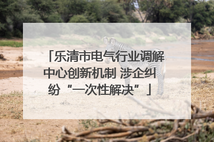 乐清市电气行业调解中心创新机制 涉企纠纷“一次性解决”