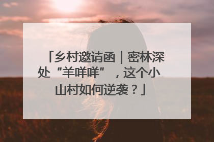 乡村邀请函｜密林深处“羊咩咩”，这个小山村如何逆袭？
