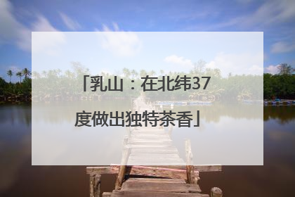 乳山：在北纬37度做出独特茶香