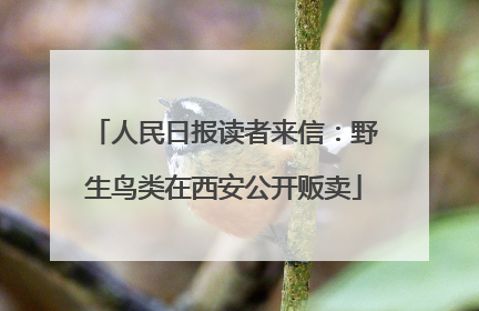 人民日报读者来信：野生鸟类在西安公开贩卖