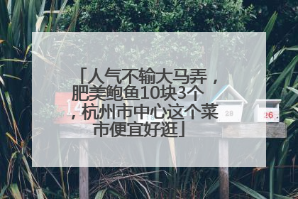 人气不输大马弄，肥美鲍鱼10块3个，杭州市中心这个菜市便宜好逛