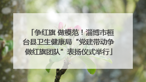 争红旗 做模范！淄博市桓台县卫生健康局“党建带动争做红旗团队”表扬仪式举行