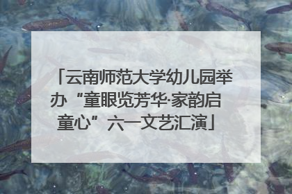 云南师范大学幼儿园举办“童眼览芳华·家韵启童心”六一文艺汇演