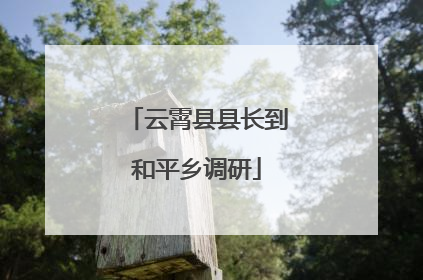 云霄县县长到和平乡调研