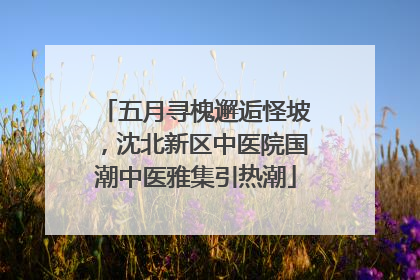 五月寻槐邂逅怪坡，沈北新区中医院国潮中医雅集引热潮