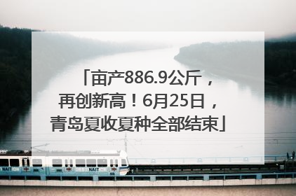 亩产886.9公斤，再创新高！6月25日，青岛夏收夏种全部结束