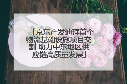 京东产发迪拜首个物流基础设施项目交割 助力中东地区供应链高质量发展