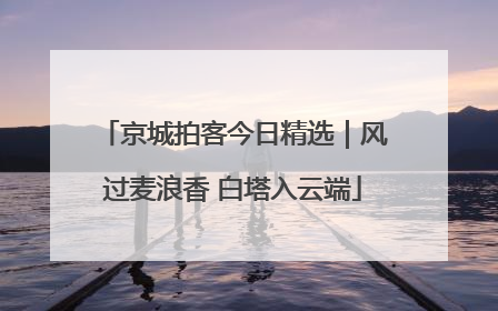 京城拍客今日精选｜风过麦浪香 白塔入云端