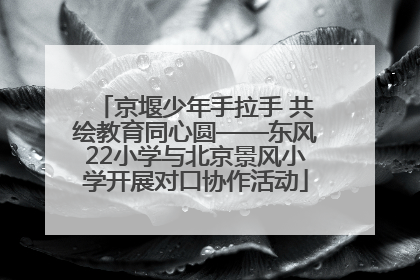 京堰少年手拉手 共绘教育同心圆——东风22小学与北京景风小学开展对口协作活动