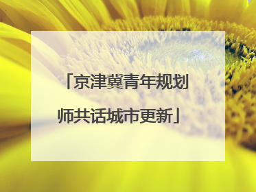 京津冀青年规划师共话城市更新
