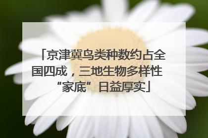 京津冀鸟类种数约占全国四成，三地生物多样性“家底”日益厚实