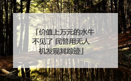 价值上万元的水牛不见了 民警用无人机发现其踪迹