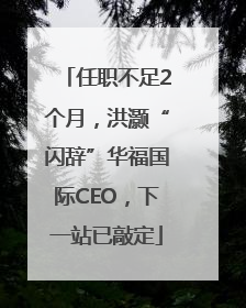 任职不足2个月，洪灏“闪辞”华福国际CEO，下一站已敲定