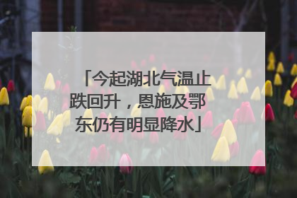 今起湖北气温止跌回升，恩施及鄂东仍有明显降水