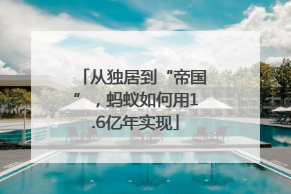 从独居到“帝国”，蚂蚁如何用1.6亿年实现