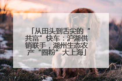 从田头到舌尖的“共富”快车：沪湖供销联手，湖州生态农产“圈粉”大上海