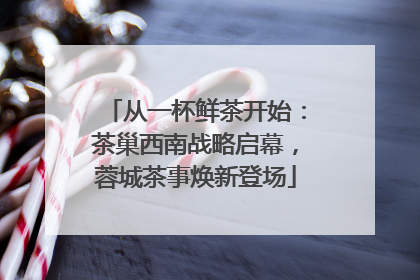 从一杯鲜茶开始：茶巢西南战略启幕，蓉城茶事焕新登场