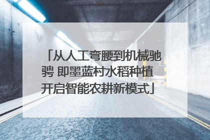 从人工弯腰到机械驰骋 即墨蓝村水稻种植开启智能农耕新模式